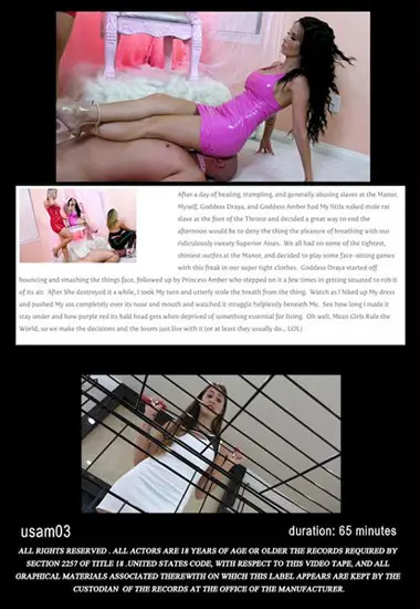 USA Mean Girls - Shiny Sweaty Superiour Asses | Unknown(back cover)