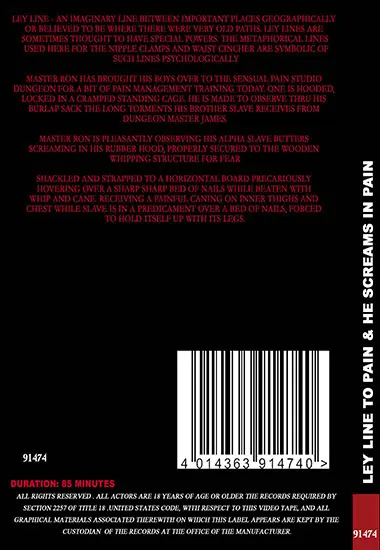Sensual Pain - Ley Line To Pain andamp; He Screams In Pain | Belrose | DVD(back cover)