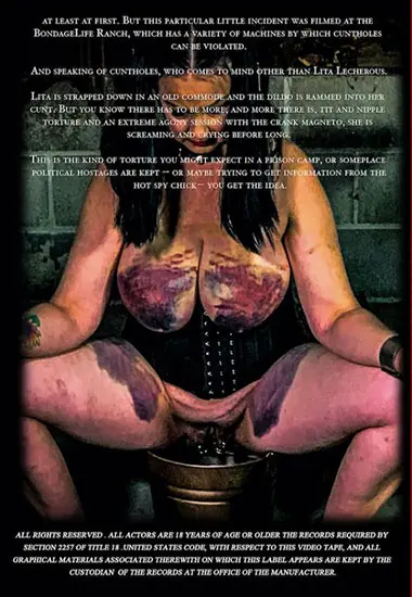 Lita Lecherous Fucking Machine Torture | BRUTAL MASTER(back cover)