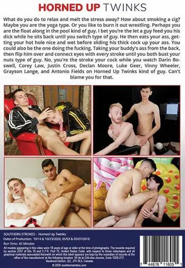 Horned Up Twinks | Southern Strokes | DVD(back cover)