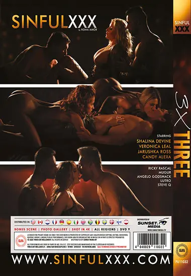 3x Three(SINFUL XXX) at sexvideoall.com(back cover)