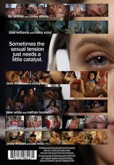 Watching Porn with Stepsister(Missax) at sexvideoall.com(back cover)