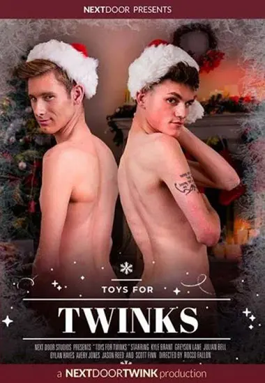 Toys For Twinks | Next Door Studios | DVD