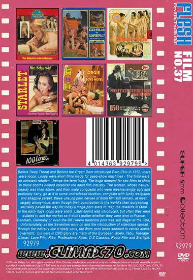 Flesh Film No. 37 | Belrose | DVD(back cover)