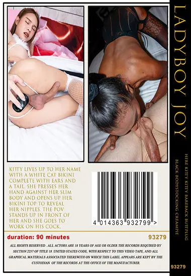 Here Kitty Kitty Bareback Buttplug / Black Bodystocking Creampie | LADYBOY JOY | DVD(back cover)