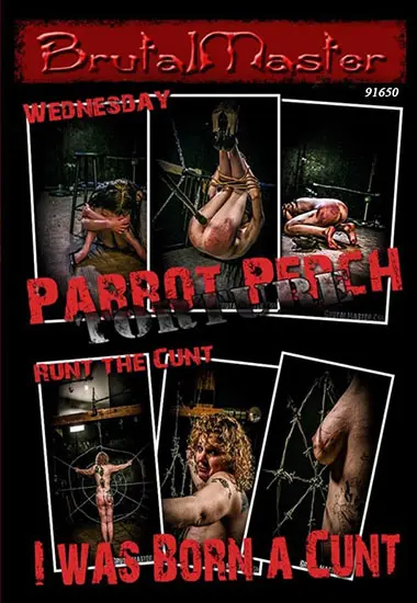 BRUTAL MASTER  - Parrot Perch Torture - I Was Born A Cunt - Punishment Makes My Cunt Wet | Belrose | DVD