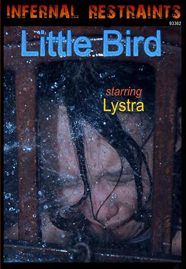 INFERNAL RESTRAINTS - Little Bird andamp; Basement | Belrose | DVD