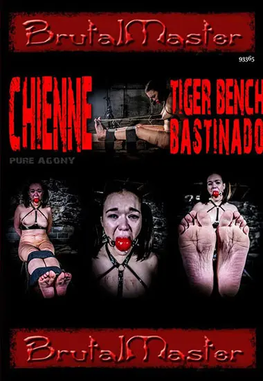 BRUTAL MASTER - Meet The Prison Strap andamp; Tiger Bench | Belrose | DVD