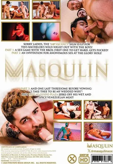 No Vacancy(Masqulin) at sexvideoall.com(back cover)