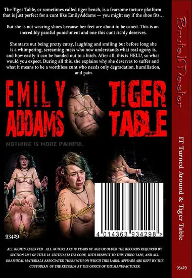 BRUTAL MASTER - IT Turned Around andamp; Tiger Table | Belrose | DVD(back cover)