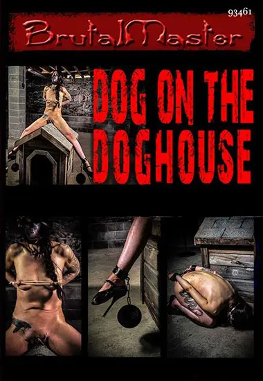 BRUTAL MASTER - Dog On The Doghouse andamp; Bunny First Ever Bullwhip | Belrose | DVD
