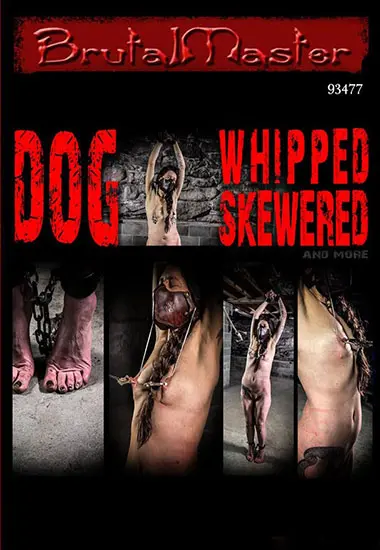 BRUTAL MASTER - Dog Whipped Skewered Chienne Barn Gimp(Belrose)