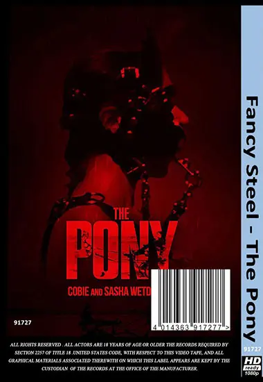 FANCY STEEL - The Pony(Belrose) at sexvideoall.com(back cover)