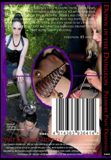 DOWN IN THE DUNGEON - Pleasure Pain Training(BDSM 2)(back cover)