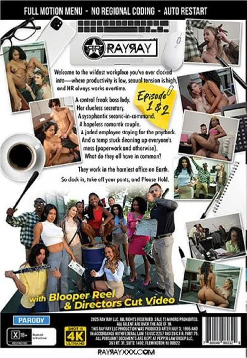 Please Hold(Ray Ray) at sexvideoall.com(back cover)