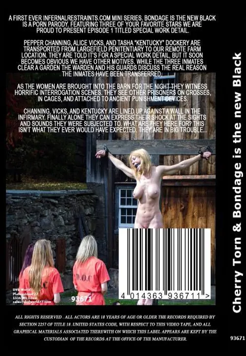 INFERNAL RESTRAINTS - Cherry Torn andamp; Bondage Is The New Black | BDSM 2 | DVD(back cover)