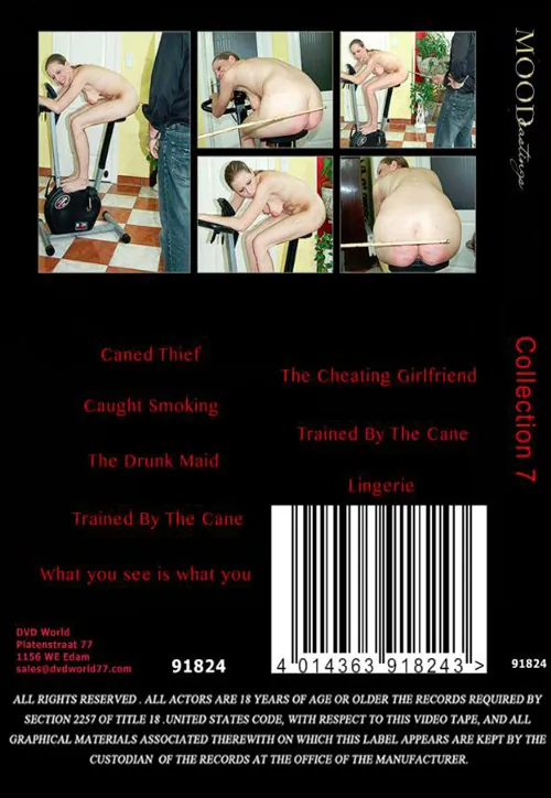 MOOD CASTING - Collection 7 | BDSM 2 | DVD(back cover)