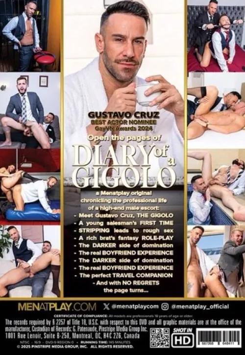 Diary Of A Gigolo | MEN AT PLAY | DVD(back cover)