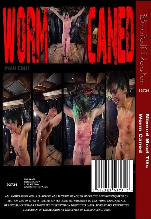 BRUTAL MASTER - Minced Meat Tits / Worm Caned(BDSM 2)(back cover)