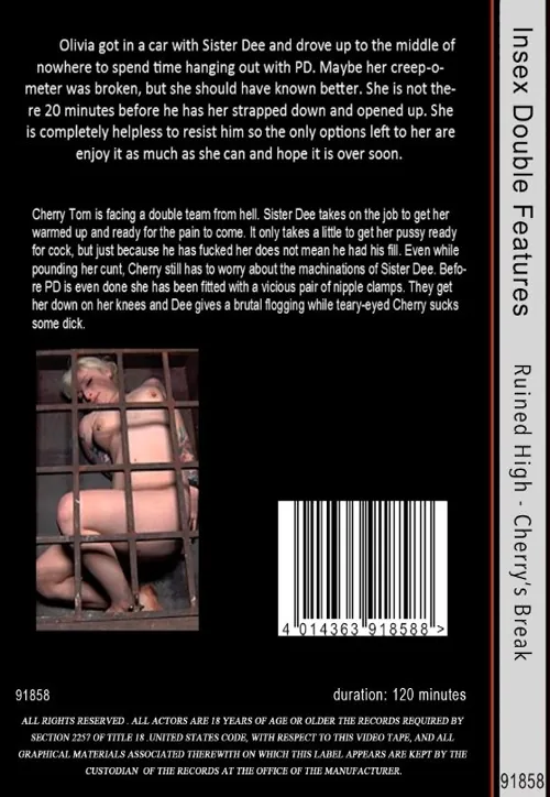INSEX DOUBLE FEATURES - Ruined High / Cherryand#180;s Break | BDSM 2 | DVD(back cover)