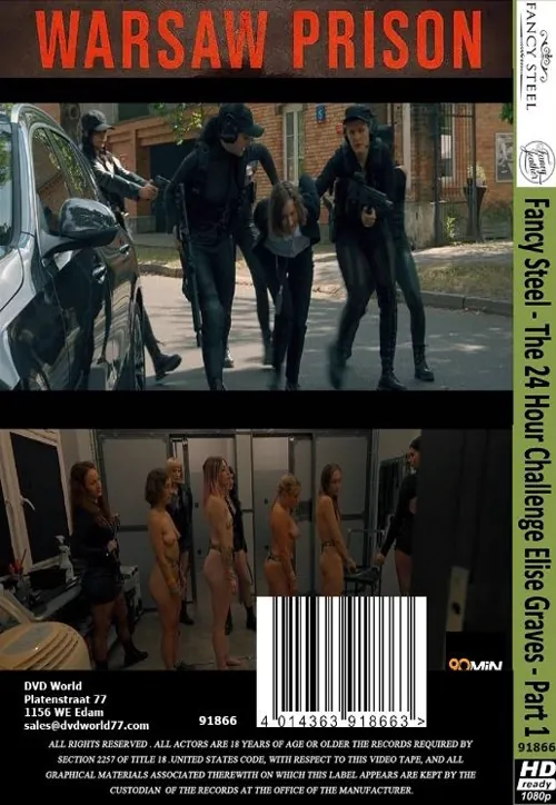 FANCY STEEL - The 24 Hour Challenge Elise Graves - Part 1(BDSM 2)(back cover)