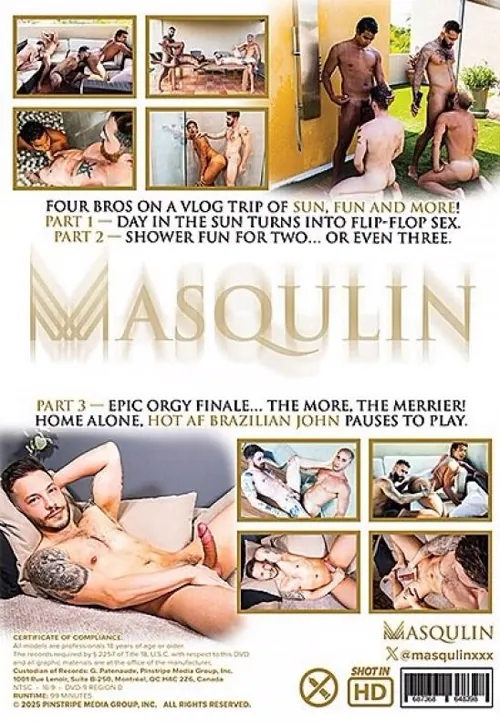 Sun, Fun, And More | Masqulin | DVD(back cover)