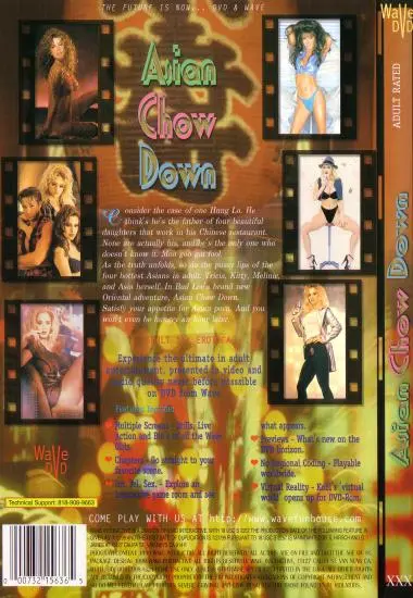 Asian Chow Down(Vivid (RAW)) at sexvideoall.com(back cover)