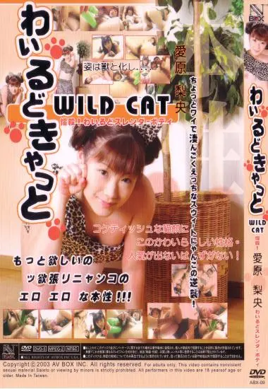 AV Box 9 - Wild Cat - Rion Aihara(JXP) (Download available)(back cover)