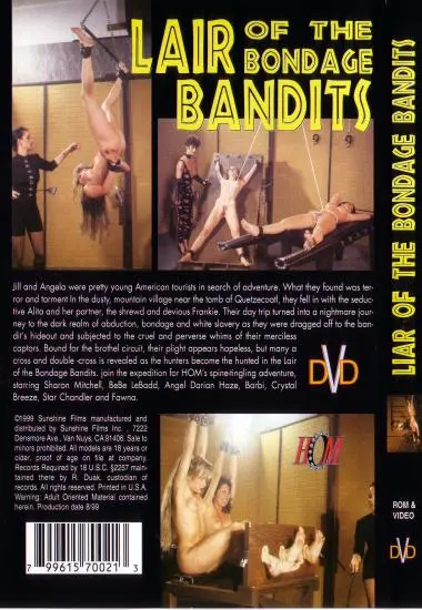 LAIR OF THE BONDAGE BANDITS(Sunshine) at sexvideoall.com(back cover)