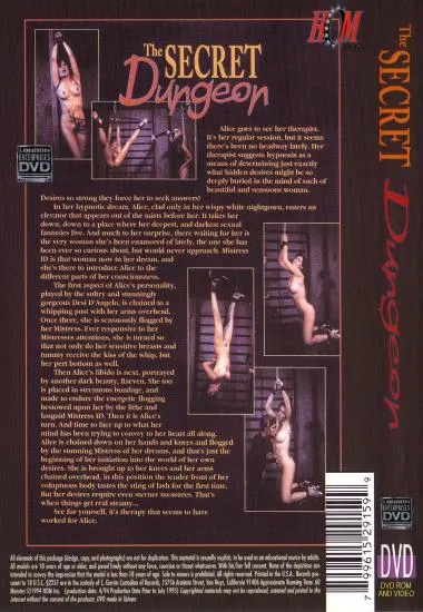 SECRET DUNGEON, THE(Sunshine) at sexvideoall.com(back cover)