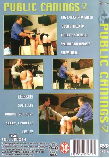Public Caning 2 | Playhouse(back cover)