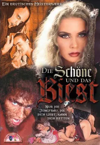 DVD37520