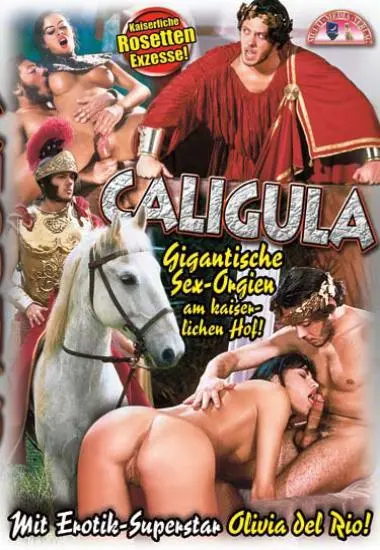 DVD38276