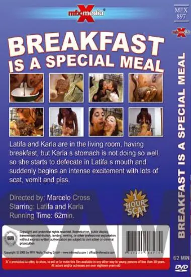 Breakfast is a Special Meal - R18(MFX) at sexvideoall.com(back cover)