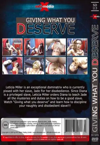 Giving what you Deserve - R34(MFX) at sexvideoall.com(back cover)
