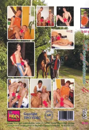 Boyfriends 4 | Tino Video | DVD(back cover)