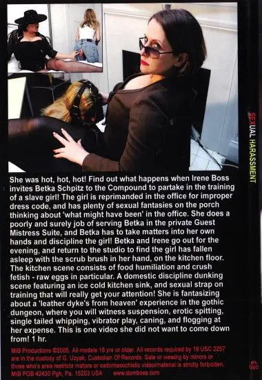 Sexual Harassment | MIB Productions | DVD(back cover)