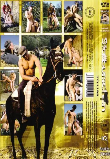 Stallburschen | be.me.fi. | DVD, Download, VOD(back cover)