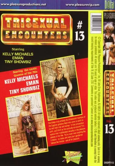 Trisexual Encounters 13(Pleasure) (Download available)(back cover)