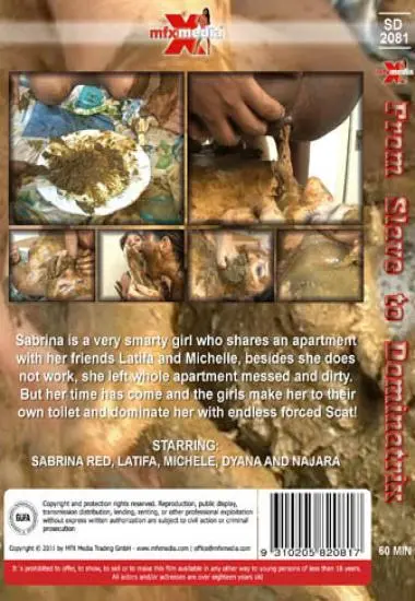 From Slave to Dominatrix - R58(MFX) at sexvideoall.com(back cover)
