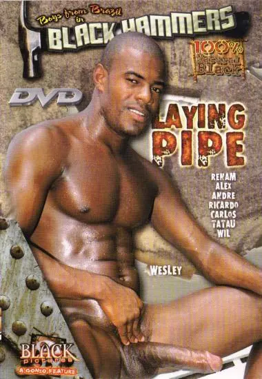 Laying Pipe | Blue pictures | DVD