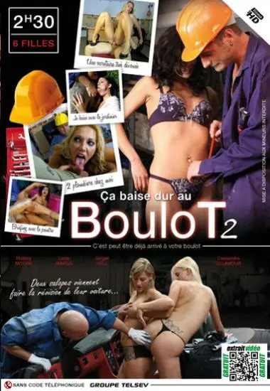 CA BAISE DURE AU BOULOT VOLUME 2 | TELSEV | DVD, Download, VOD
