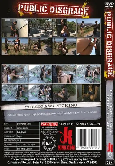 Public Ass Fucking | Kink.com | DVD(back cover)