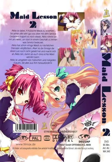 Maid Lession 2 | Trimax | DVD(back cover)