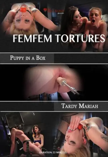 Femfem Tortures 2 | Belrose | DVD