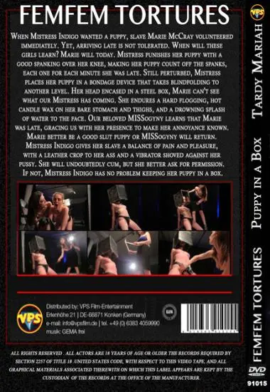 Femfem Tortures 2 | Belrose | DVD(back cover)