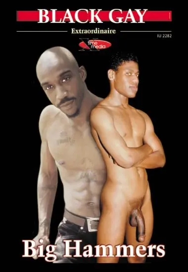 Black Gay | Mega-Film/GMV | DVD, Download, VOD