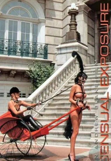 Sensual Exposure(Andrew Blake) at sexvideoall.com(back cover)