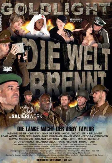 Die Welt brennt - Die lange Nacht der Abby Taylor(Goldlight)