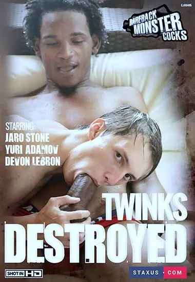 Twinks Destroyed  | STAXUS | DVD